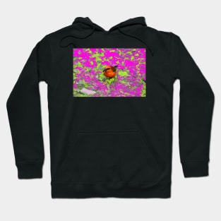 Red Bird Hoodie